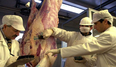 I NUOVI REGOLAMENTI SUI CONTROLLI UFFICIALI PER LA SICUREZZA ALIMENTARE