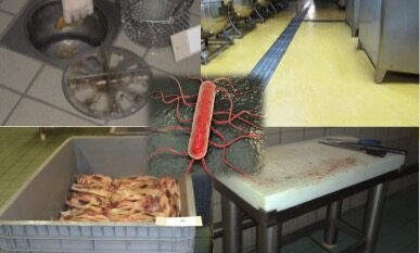 LISTERIA_A&Q